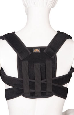 xlarge_20200207144113_e25df364